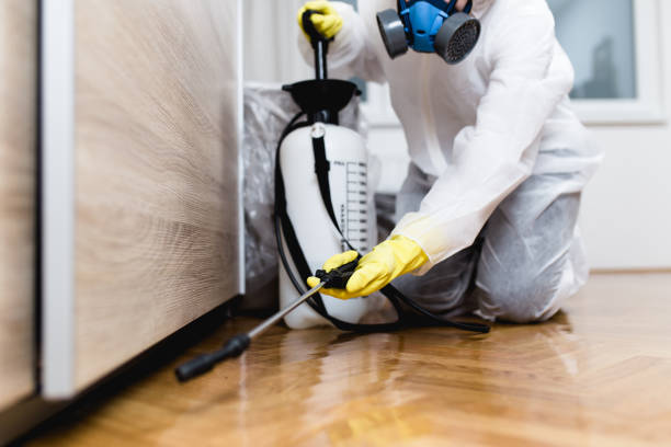 Best Pest Control Treatment  in Utica, NE