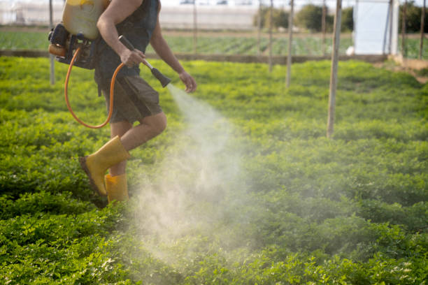 Best Affordable Exterminators  in Utica, NE