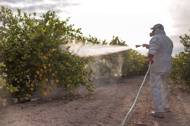 Best Insect Control  in Utica, NE