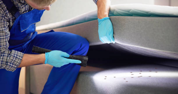 Best Pest Control Near Me  in Utica, NE